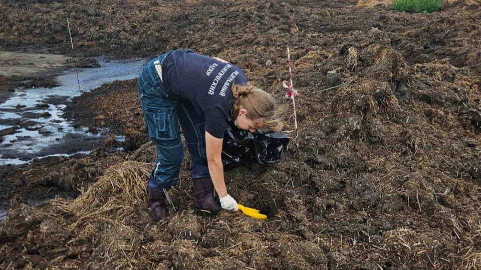 Почву будут проверять после сброса отходов животных в воронежской Нелже