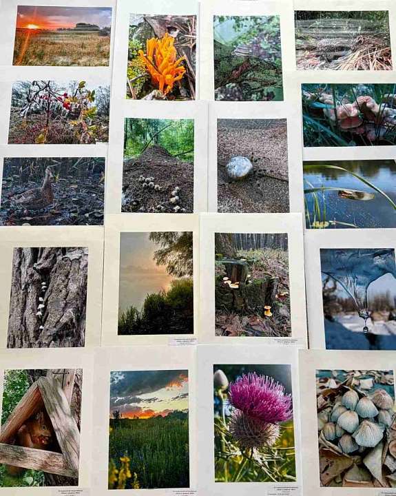 В Коминтерновском районе подвели итоги регионального конкурса фотографий