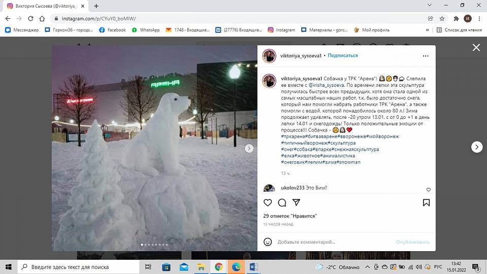 Белого Бима из снега и воды слепили известные в Воронеже сестры Сысоевы 