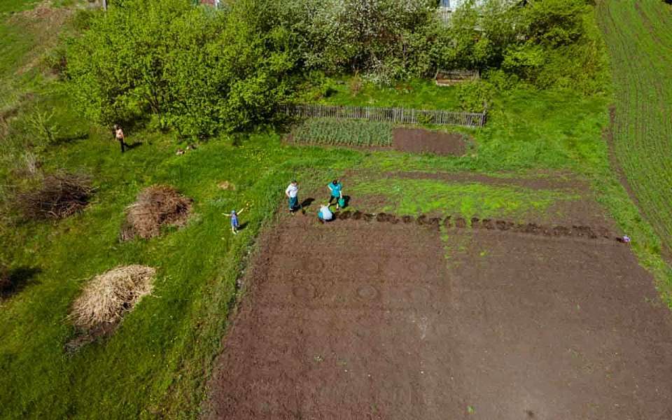 По спросу на аграриев и зарплатам в АПК Воронежская область лидирует в Черноземье
