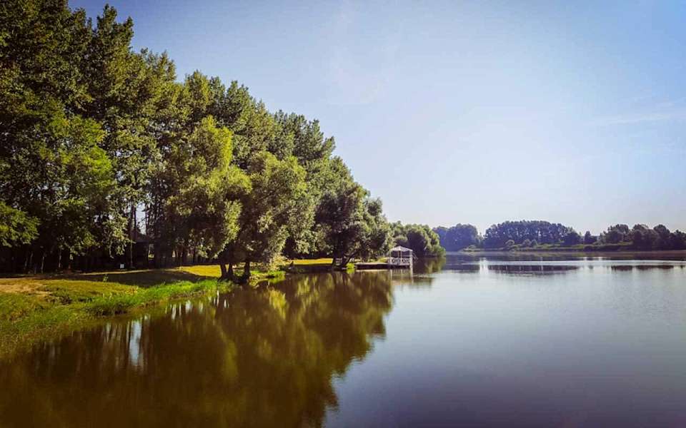 За 100 млн рублей продают коттедж в селе Ямном под Воронежем