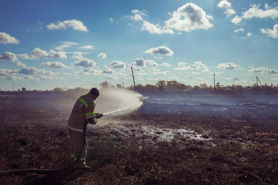 Чрезвычайный уровень пожарной опасности установился в 19 районах Воронежской области
