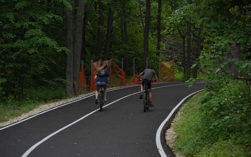 На бесплатные мероприятия в городских парках 1 ноября пригласили воронежцев