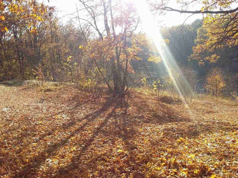 Воронежцам рассказали, когда ждать настоящего «бабьего лета»