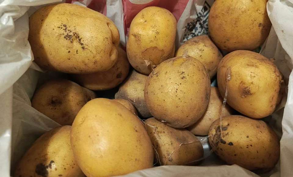Картофель после длительного дорожания в Воронежской области стал резко дешеветь