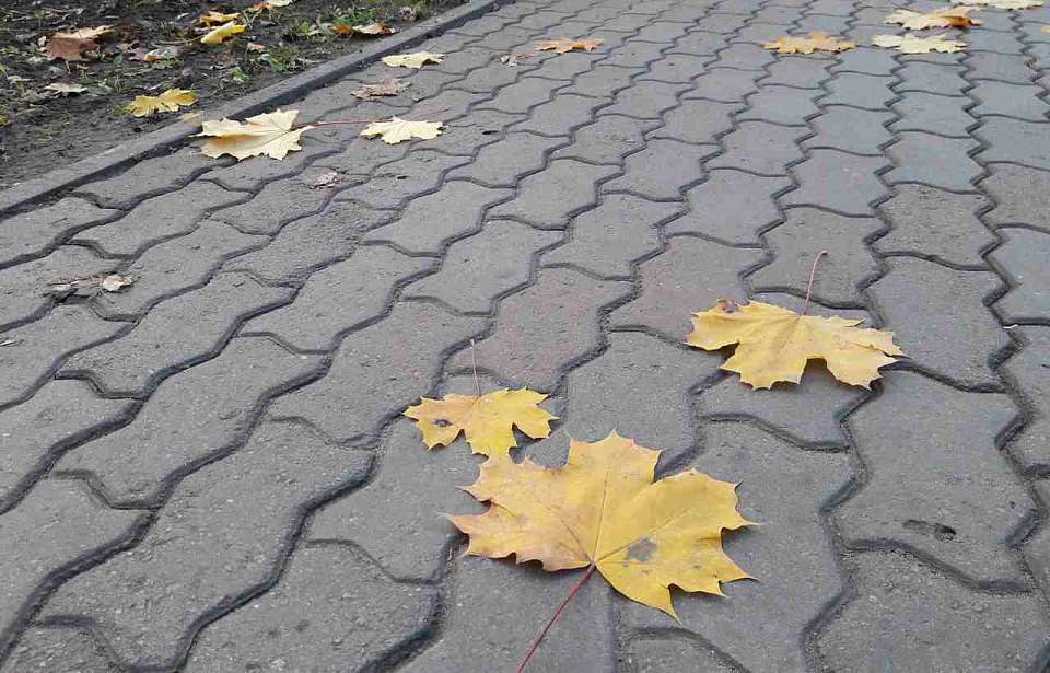 О погоде в сентябре в Воронеже и области рассказали синоптики