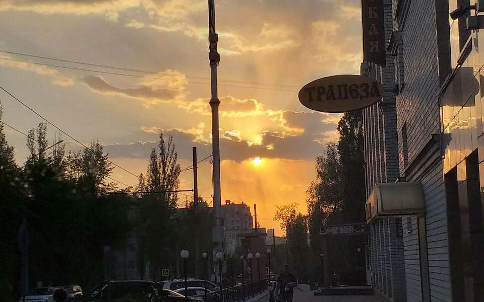 Синоптики спрогнозировали 28-градусную жару в начале мая в Воронежской области