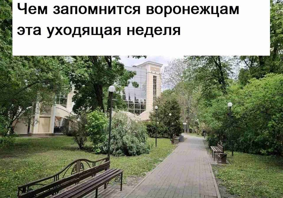 Чем запомнится воронежцам эта уходящая неделя