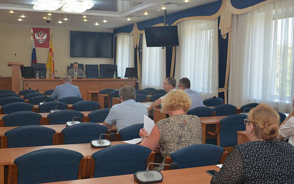 Воронежские депутаты согласовали увеличение финансирования программы общественной безопасности