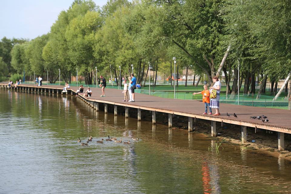 Объем инвестиций в реконструкцию воронежского парка «Дельфин» увеличится до 180 млн рублей