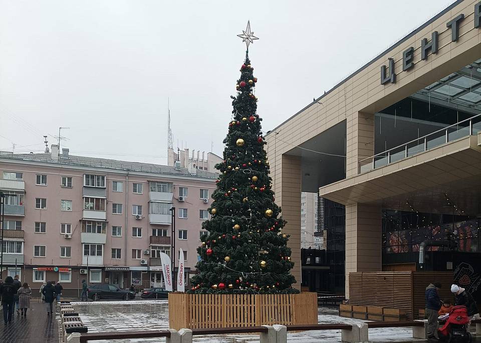 В Воронеже у Центрального рынка установили новогоднюю елку