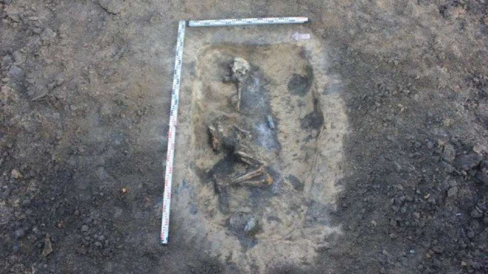 Три погребения, которым более 4 тыс. лет, обнаружили в Воронежской области