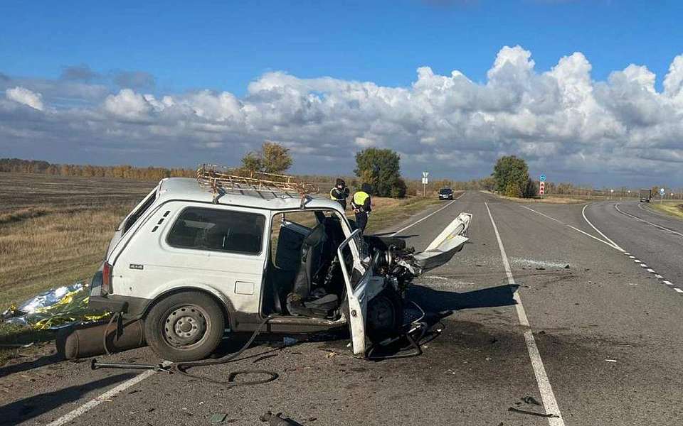 Один человек погиб и 5 пострадали в кошмарном ДТП в Воронежской области