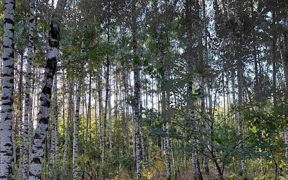 О погоде на 10 сентября рассказали воронежские синоптики