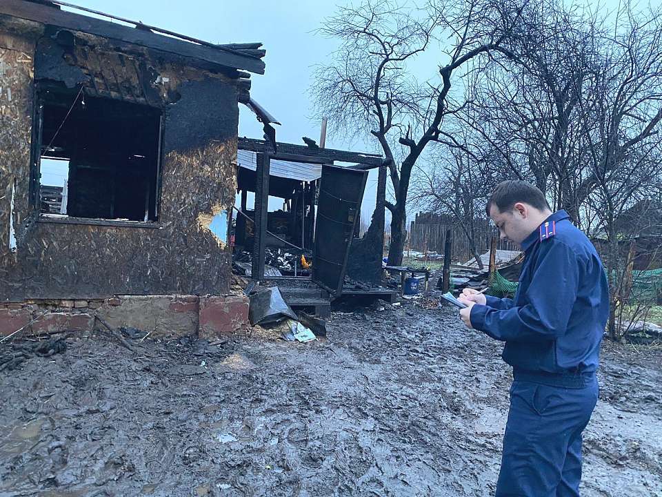 В Воронежской области при пожаре погибли 11-летний мальчик и его 3-летняя сестра 