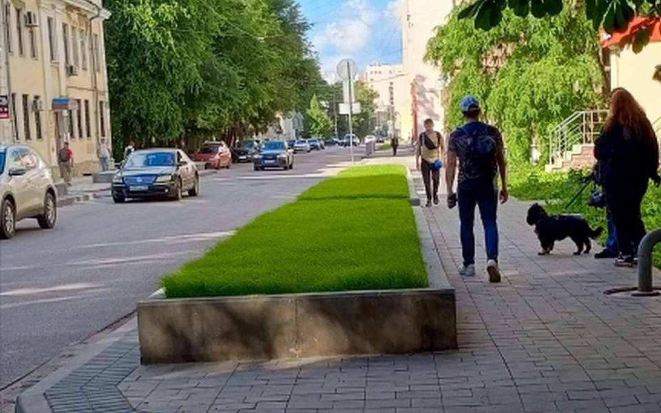 Красота и инновации на улице Пушкинской