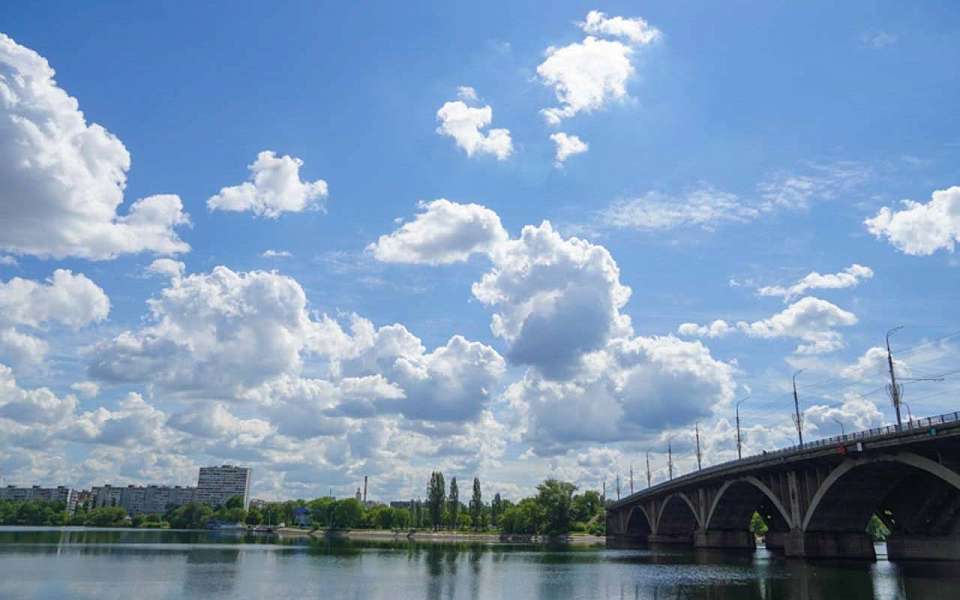 Жаркая погода без осадков установится в выходные дни в Воронежской области