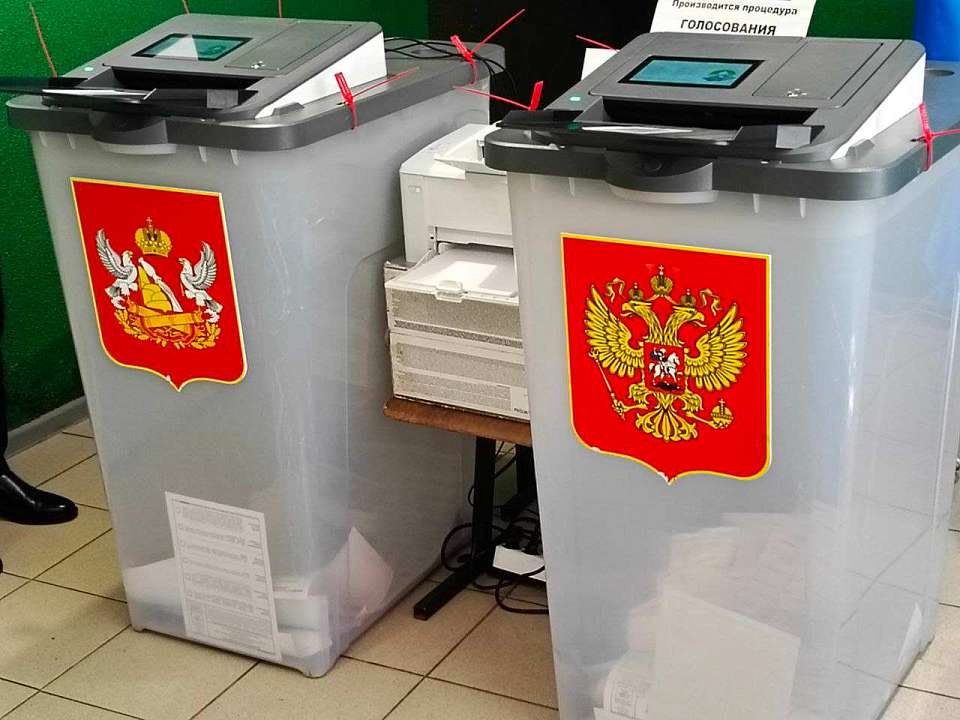Подвели итоги первого дня голосования на выборах в Воронежской области