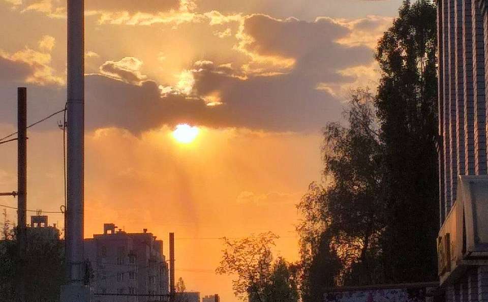 Пекло до +36 градусов ожидает воронежцев в конце рабочей недели