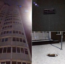 Воронежские полицейские проверят сообщение о выброшенной в Новый год из окна многоэтажки собаке 