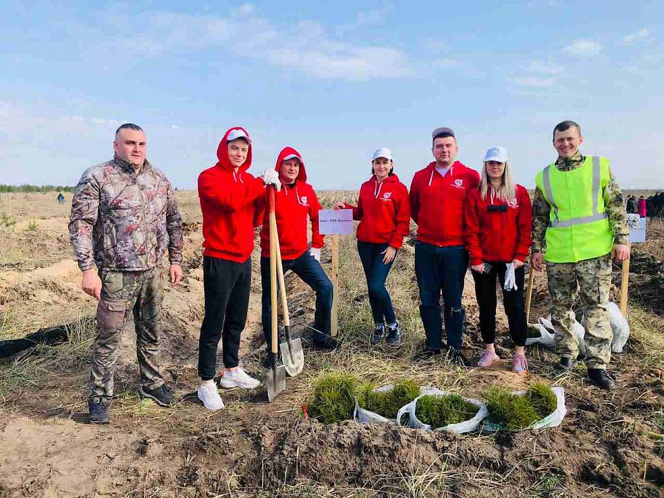 Сотрудники РВК-Воронеж приняли участие в акции «Сад Памяти» 