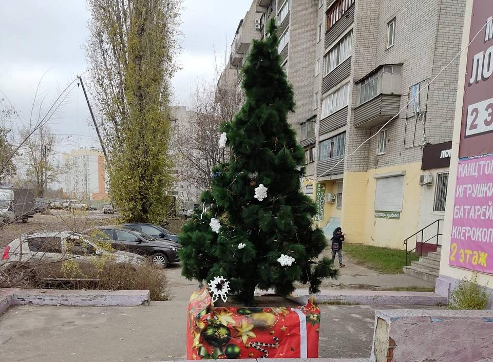 Первые новогодние елки установили в Воронеже