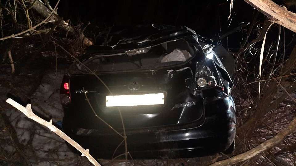 Влетел в дерево и погиб пенсионер на Toyota Matrix в Воронежской области 