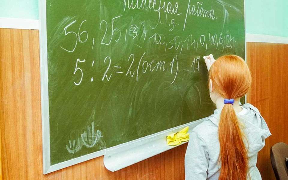 Число учителей и учеников в регионе назвал Воронежстат 1 сентября