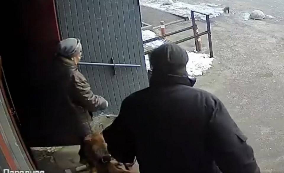 В Воронеже на женщину у подъезда напала собака без намордника