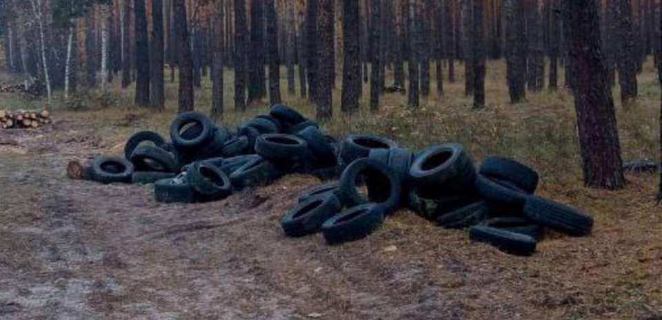 В воронежском лесу обнаружили свалку старых шин