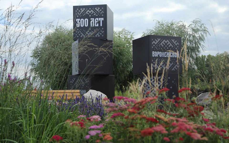 Гран-при фестиваля «Город-сад» получила работа мэрии Воронежа