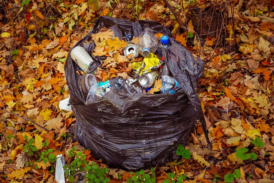 В 2023 году плата за вывоз мусора в Воронежской области расти не будет