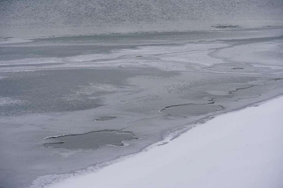 Воронежские экологи опровергли слухи о загрязнении реки Большой Эртиль