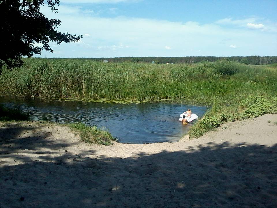 Все реки Воронежской области обмелели из-за климата