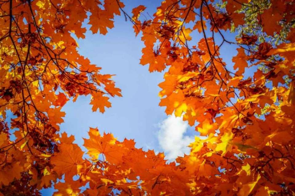 Неожиданно потеплеет к концу недели в Воронеже