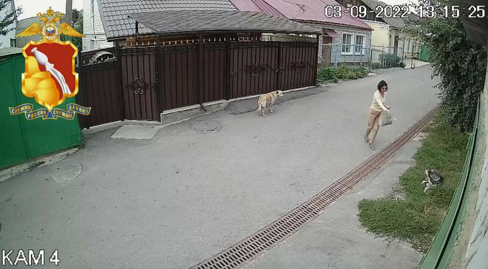 Жительницу Воронежа отдали под суд за мучительное умерщвление чужих собак