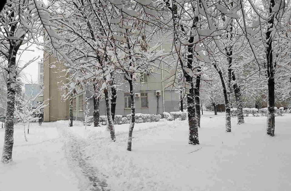 Воронежцам рассказали, когда в регион придут крепкие морозы