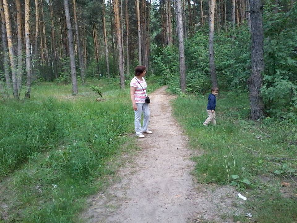 Северный лес в Воронеже обещают благоустроить к лету 2023-го