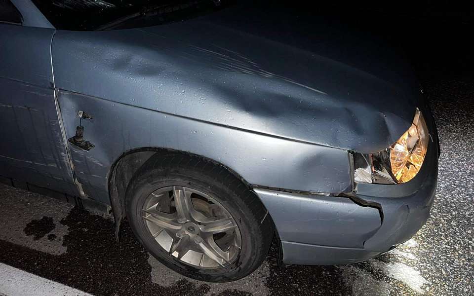 Женщина погибла под колесами «Лады» на трассе в Воронежской области