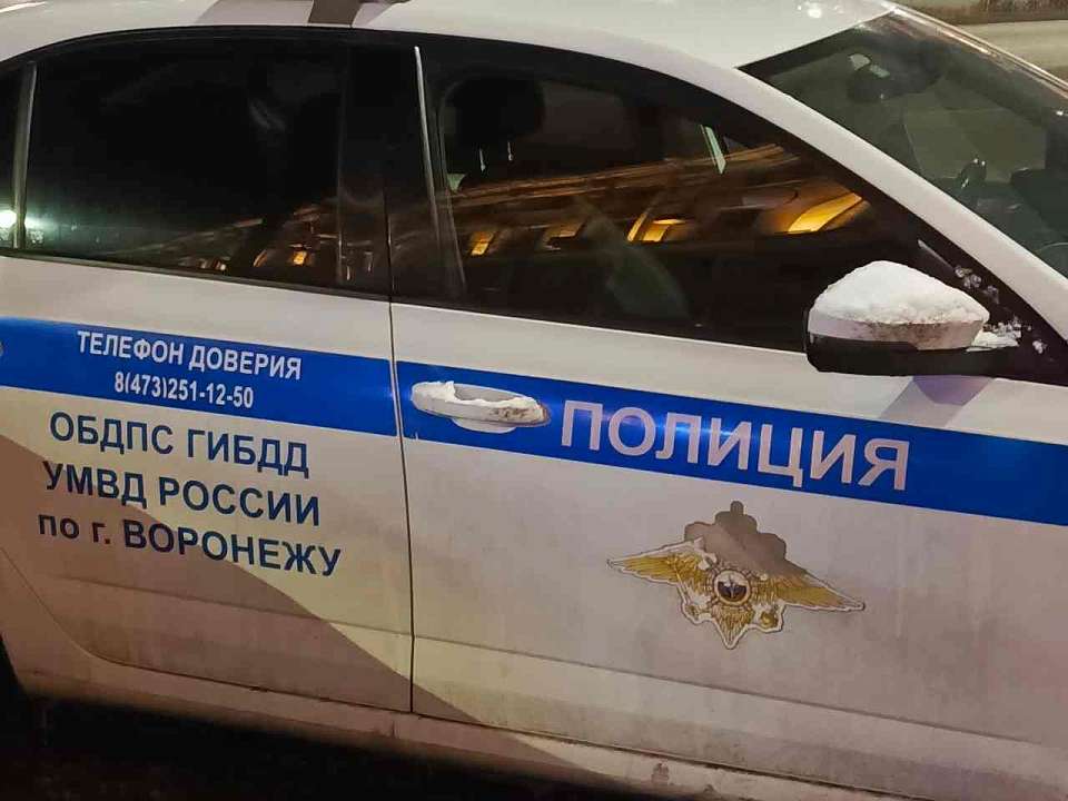 Двух воронежцев приговорили к реальным срокам по делу о наркотиках