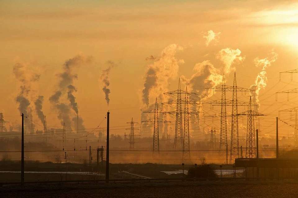В 2024 году управляющая компания воронежской ОЭЗ сократила убытки