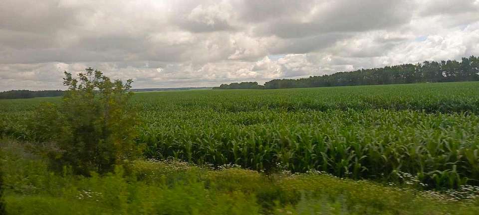 Агроэкспорт Воронежской области показал впечатляющий рост в начале 2026 года