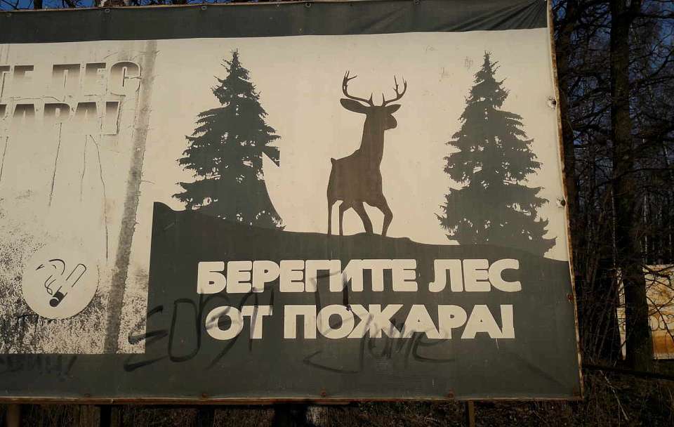Готовность Воронежской области к пожароопасному сезону удостоверил Рослесхоз
