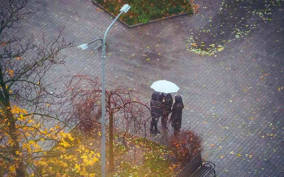 Какая погода ожидается во вторник, 18 ноября, рассказали воронежцам синоптики