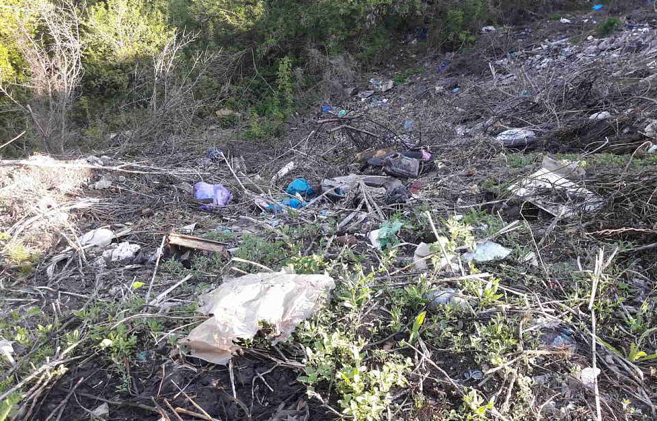 За ущерб от незаконной свалки под Воронежем Росприроднадзор требует 16,4 млн рублей