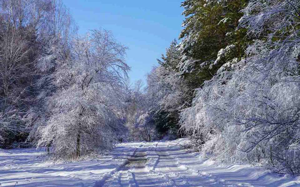 О переходе на зимний график работы объявили в Воронежском заповеднике