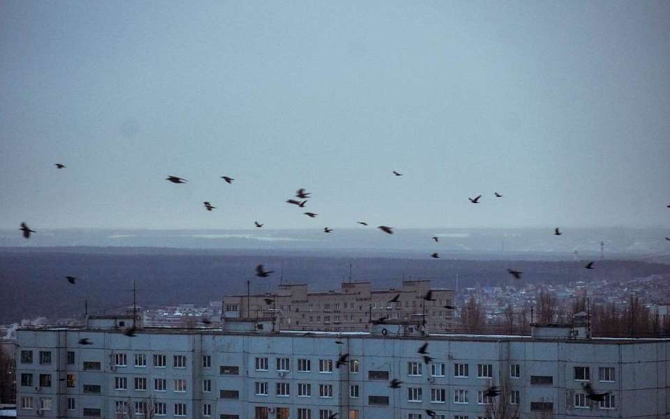 Пасмурный день без осадков ожидает 20 марта воронежцев