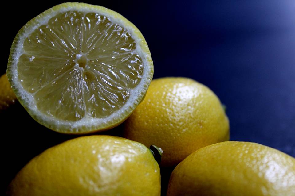 Завод лимонной кислоты и Биотехнологический парк предложили создать в Воронежской области