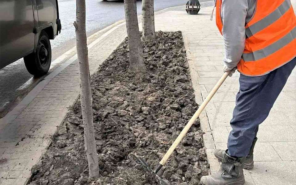 С наступлением тепла в Центральном районе приступили к восстановлению газонов