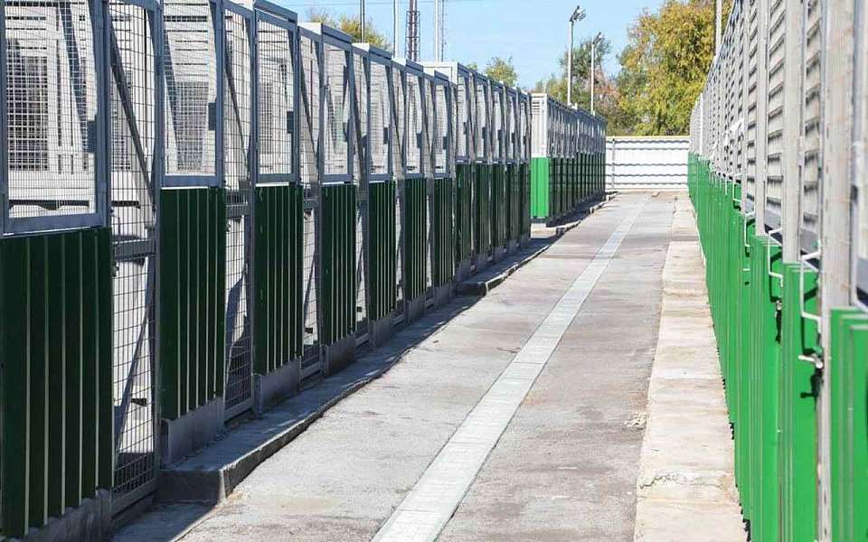 Список вакансий и размер зарплаты для работы в приюте для животных опубликовали в Воронеже